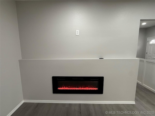 details featuring hardwood / wood-style floors and a fireplace