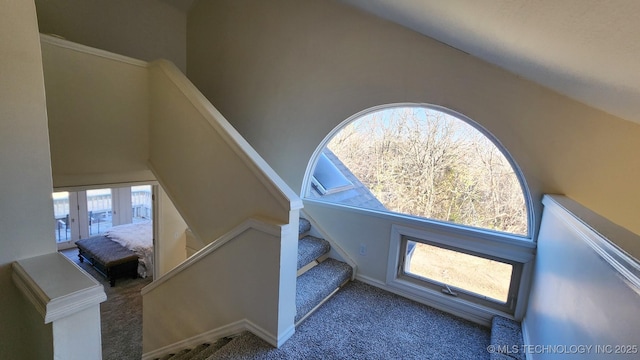 stairway featuring a towering ceiling and carpet flooring