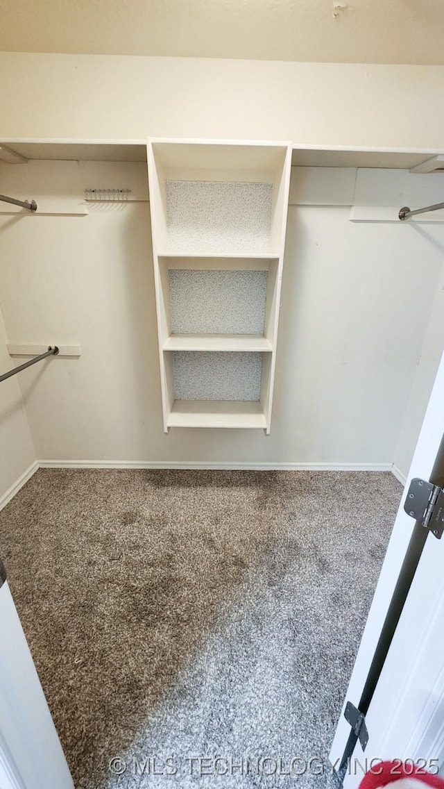 walk in closet featuring carpet floors