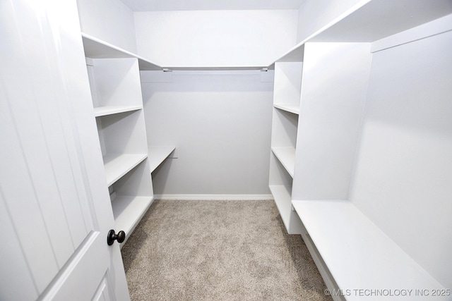 spacious closet with light colored carpet