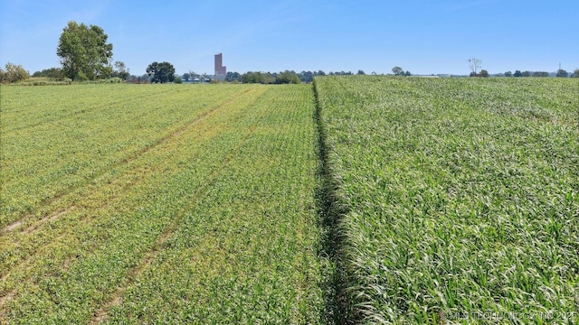 view of yard with a rural view