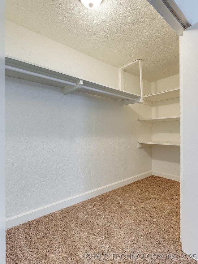 spacious closet with carpet flooring