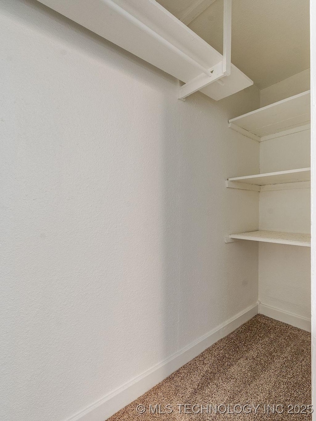 spacious closet with carpet flooring