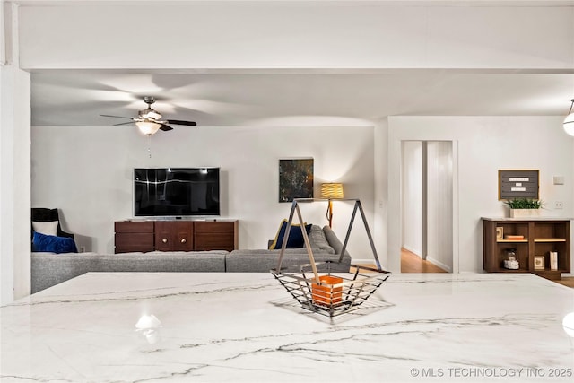 living area with a ceiling fan