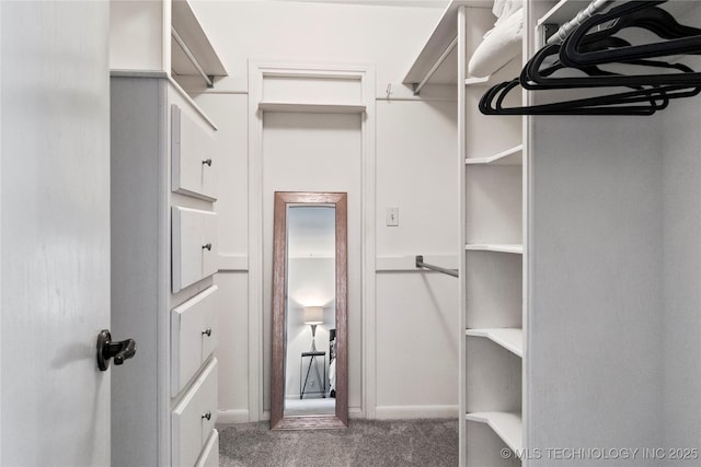 spacious closet with carpet flooring