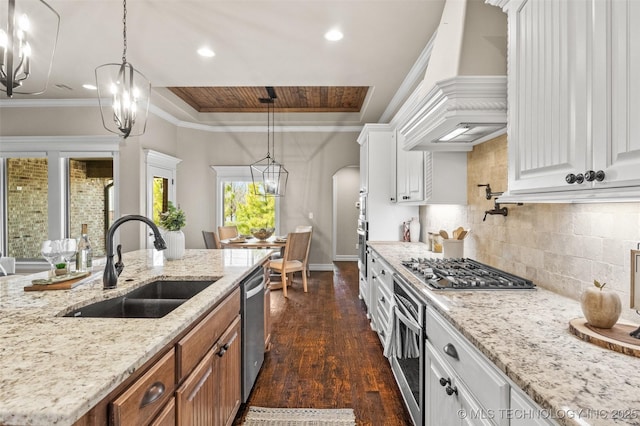 kitchen with dark wood-style floors, premium range hood, a tray ceiling, appliances with stainless steel finishes, and a sink