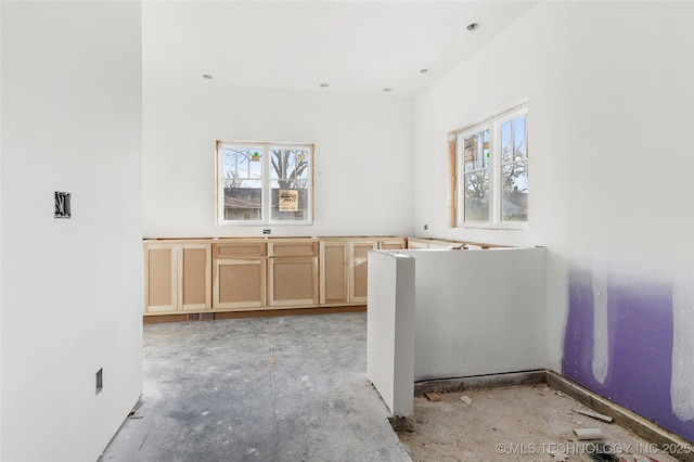 kitchen with a healthy amount of sunlight and light brown cabinetry