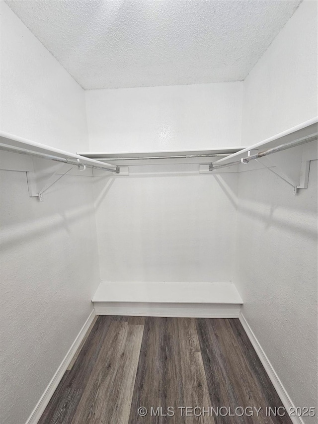 spacious closet with dark wood-type flooring