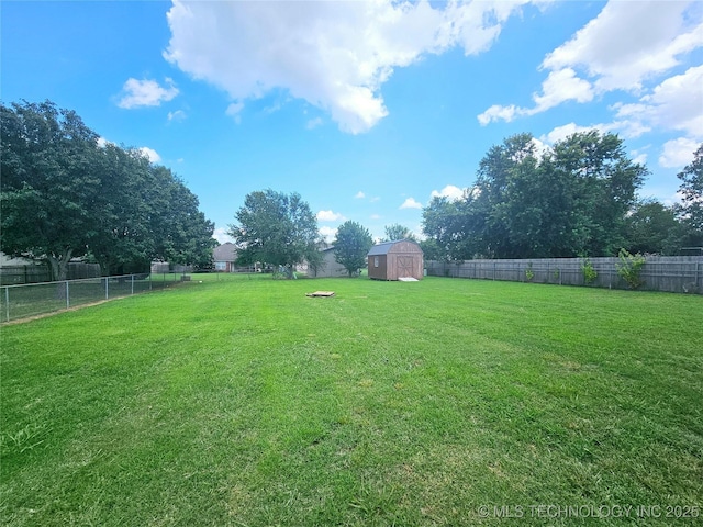 view of yard featuring a shed