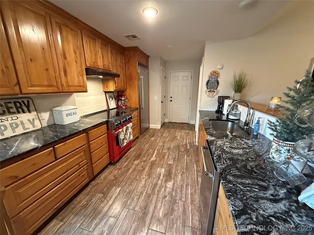 kitchen featuring hardwood / wood-style flooring, sink, and high end appliances