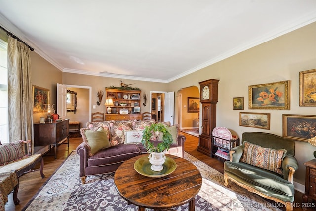 living room with a wealth of natural light, dark hardwood / wood-style floors, and crown molding