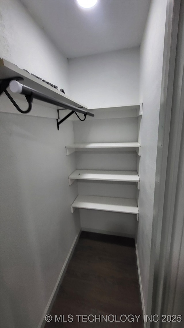 view of walk in closet