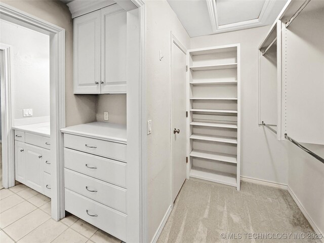 spacious closet with light colored carpet