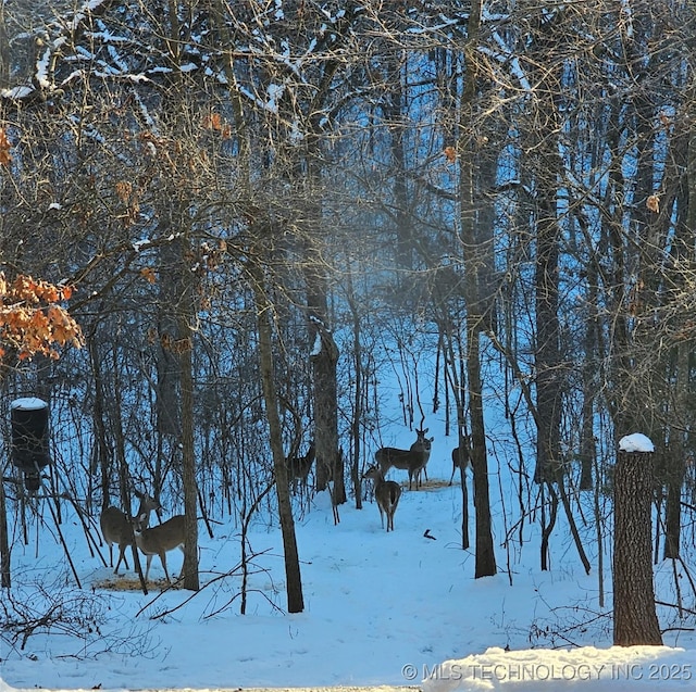 view of snow covered land