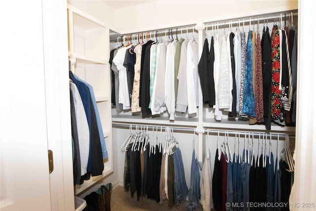 spacious closet featuring carpet floors