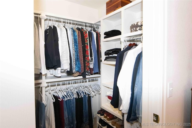 view of spacious closet