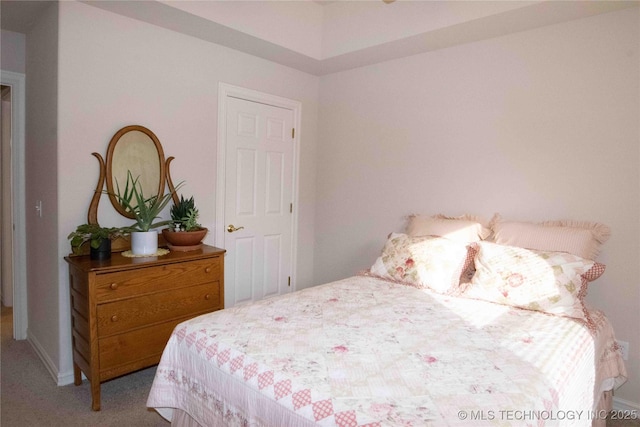 bedroom featuring carpet