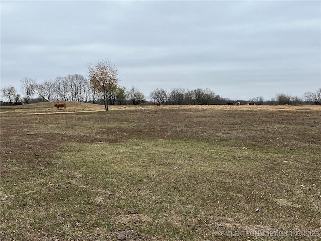 4710 S 4190th Rd, Chelsea OK, 74016 land for sale