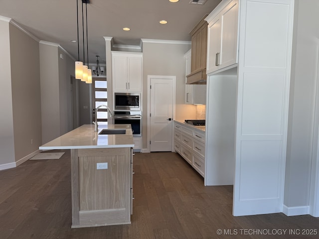 kitchen with appliances with stainless steel finishes, a sink, a center island with sink, and dark wood-style floors