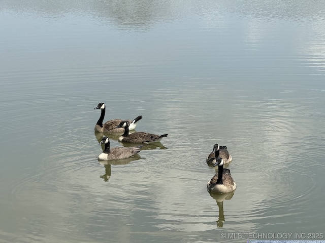 property view of water