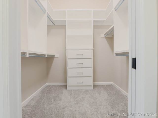 spacious closet featuring carpet floors