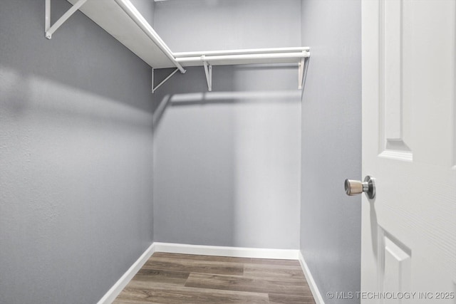 walk in closet featuring hardwood / wood-style floors