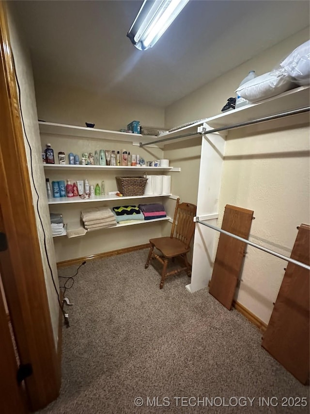 walk in closet featuring carpet