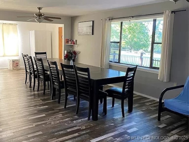 dining room featuring ceiling fan, dark hardwood / wood-style floors, and a wealth of natural light