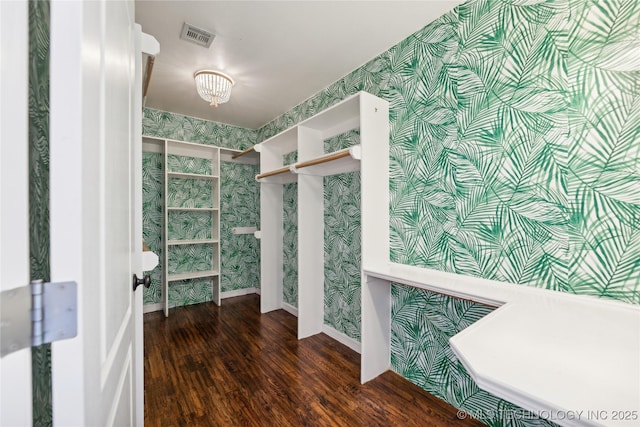 spacious closet with dark wood-type flooring