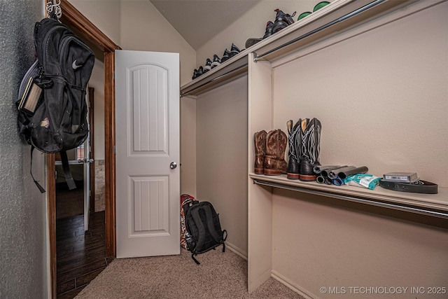 walk in closet featuring vaulted ceiling and carpet