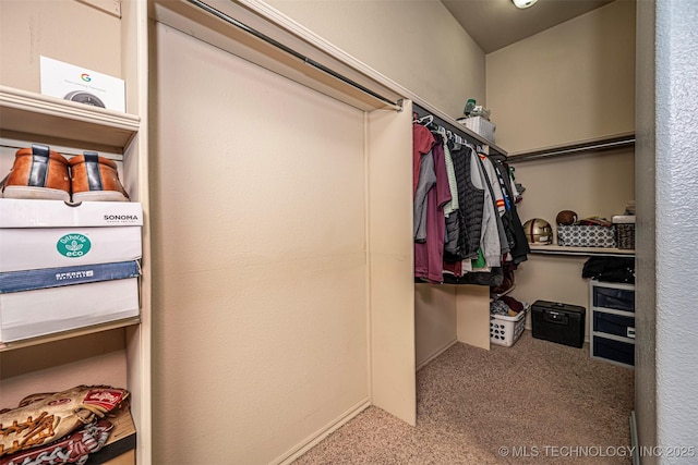 spacious closet featuring carpet floors