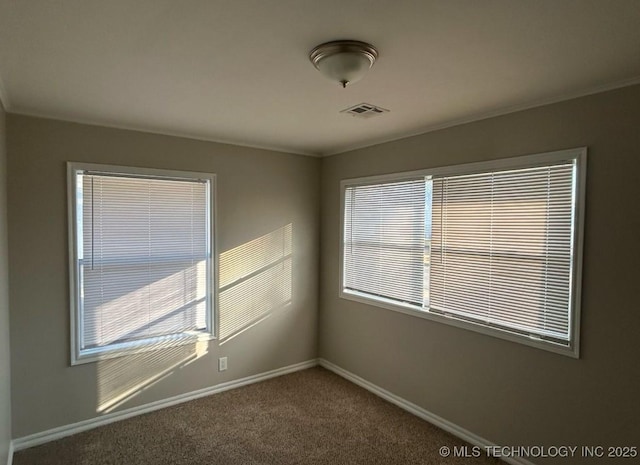 carpeted spare room featuring a wealth of natural light