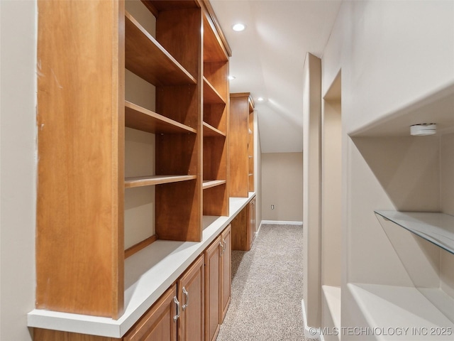 walk in closet with light carpet