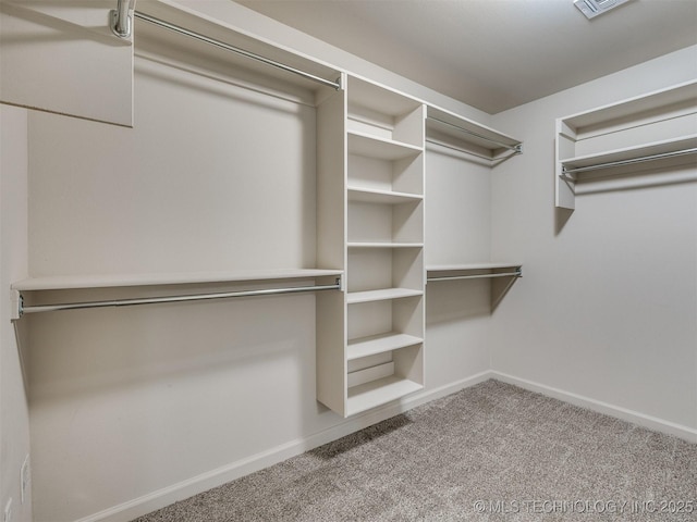 spacious closet with carpet floors