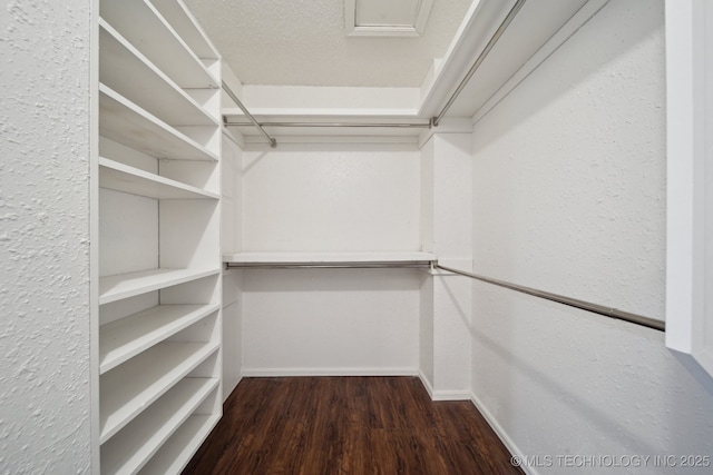 spacious closet with dark hardwood / wood-style flooring