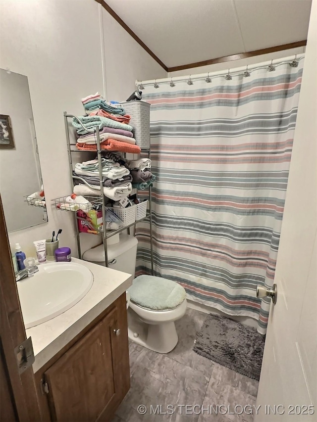 bathroom with toilet, walk in shower, and vanity