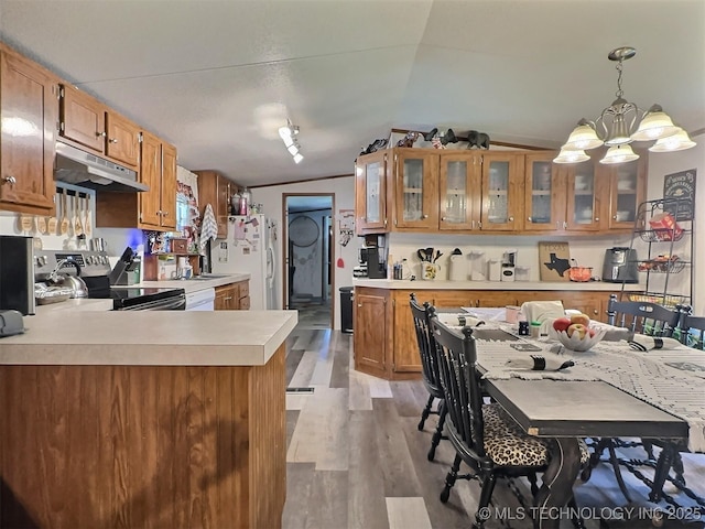 kitchen featuring stainless steel electric stove, pendant lighting, white refrigerator, light hardwood / wood-style floors, and vaulted ceiling