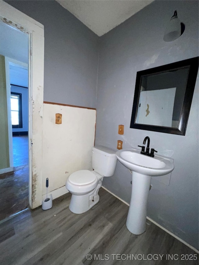 bathroom featuring toilet and hardwood / wood-style floors