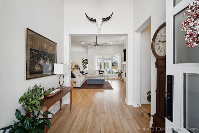 entrance foyer featuring a ceiling fan, light wood-style flooring, and a high ceiling