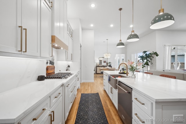 kitchen featuring light wood-style floors, recessed lighting, a sink, appliances with stainless steel finishes, and exhaust hood