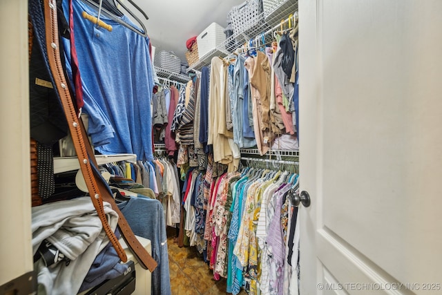 view of spacious closet