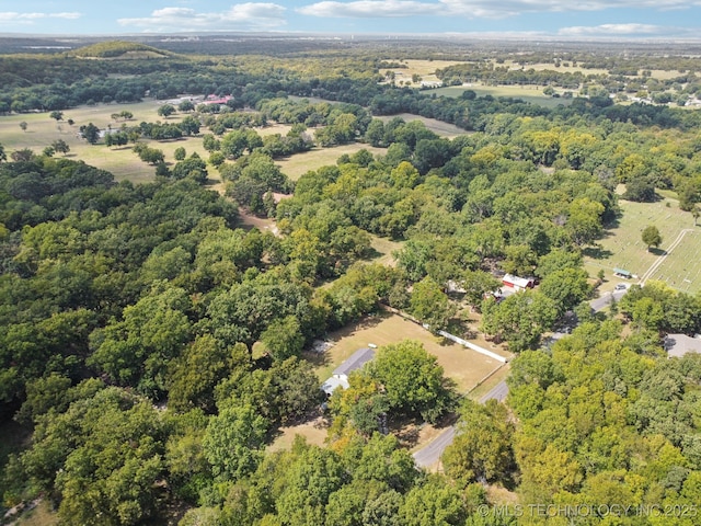 bird's eye view