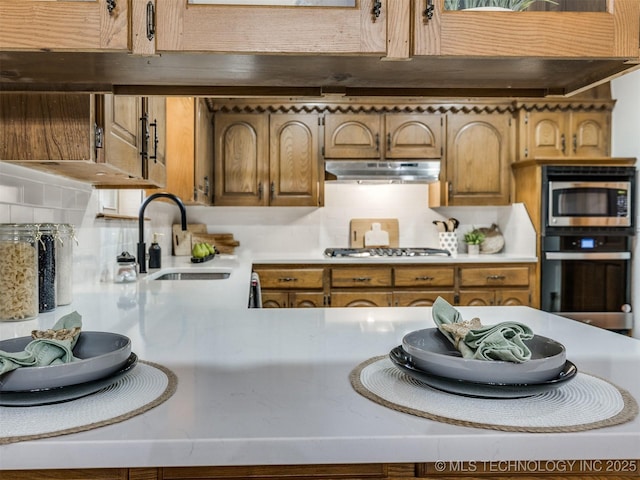 kitchen featuring sink, stainless steel appliances, and tasteful backsplash