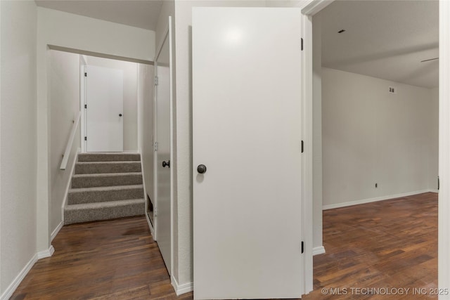 hall featuring dark wood-type flooring