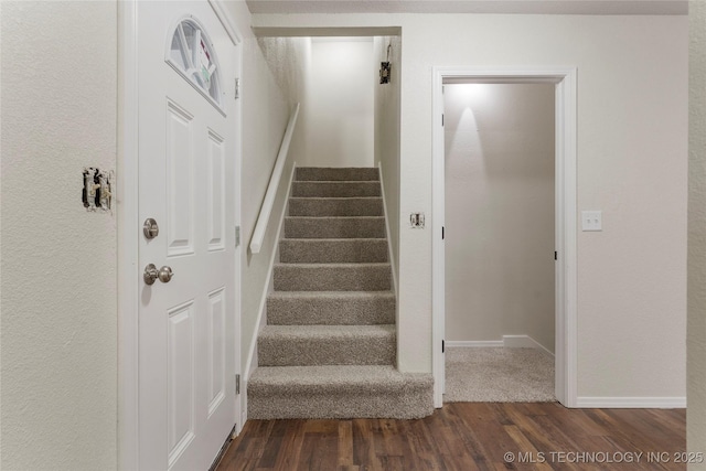 stairway with hardwood / wood-style flooring