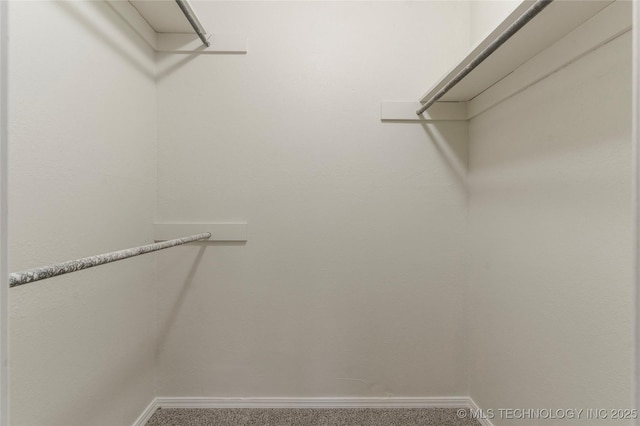 spacious closet with carpet flooring