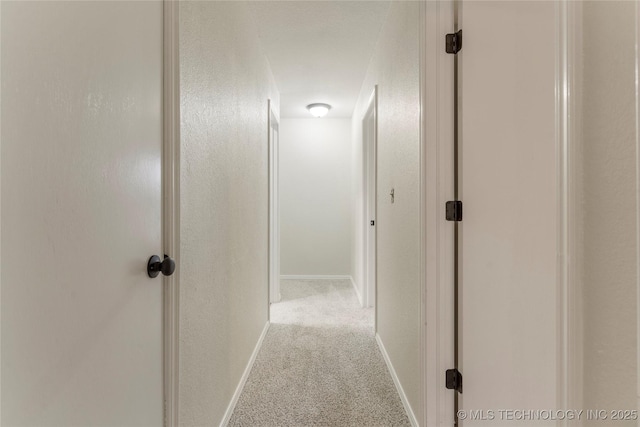 hallway with light carpet