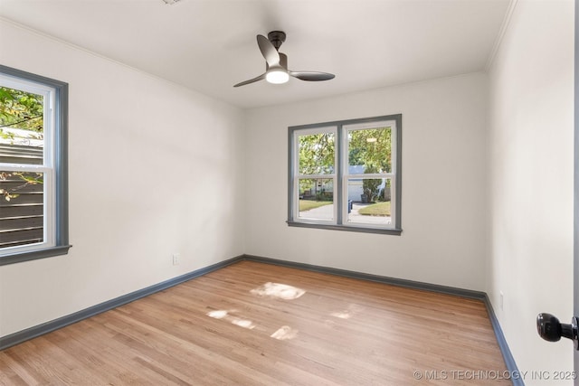 empty room featuring ceiling fan, a wealth of natural light, light hardwood / wood-style flooring, and crown molding