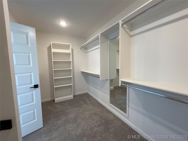 walk in closet featuring dark colored carpet