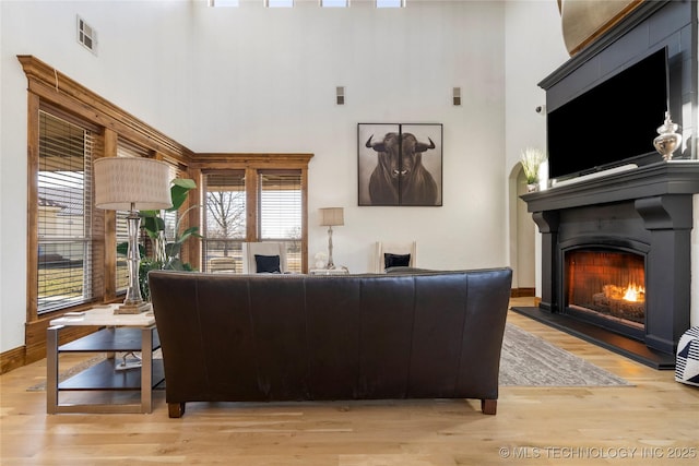 living room featuring a high ceiling and light hardwood / wood-style flooring